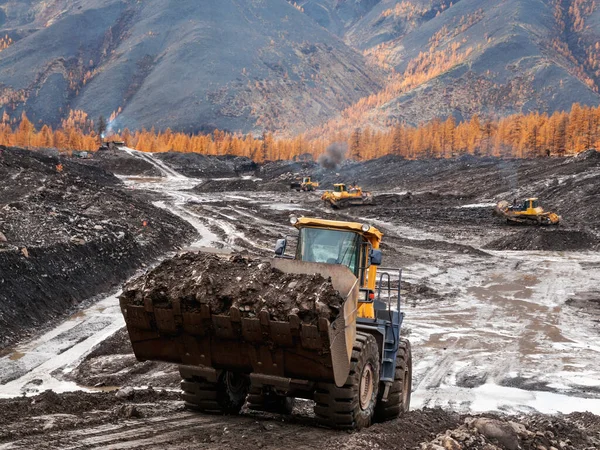 Open pit mining natural gold in mountainous areas Bulldozer collects heap of mountain soil in which there is increased concentration of natural gold (Aurum). Then, wheel loaders transport this mountain soil to special industrial equipment for washing