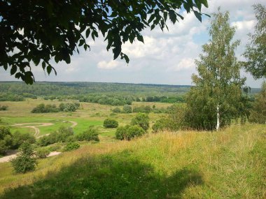 Açık arazi manzarası ve ufukta yeşil orman