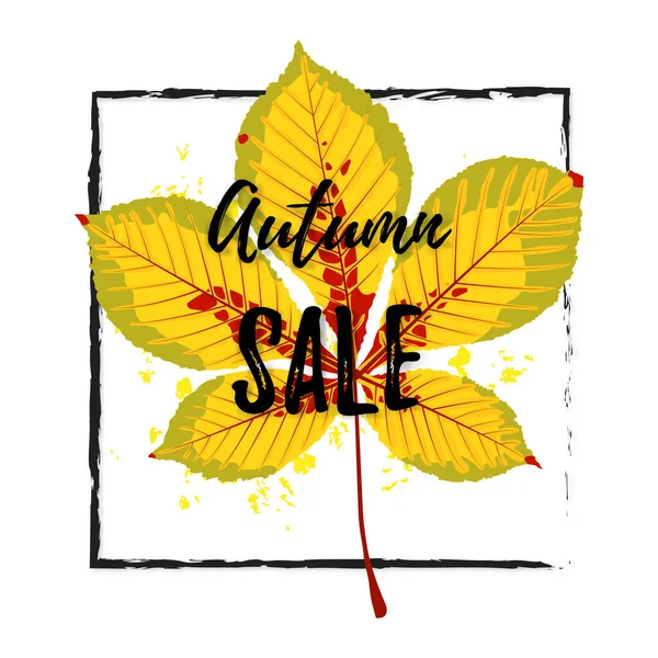 Illustration Autumn Maple Leaf Text Sale Autumn Templates Placards Banners — Stock Photo, Image