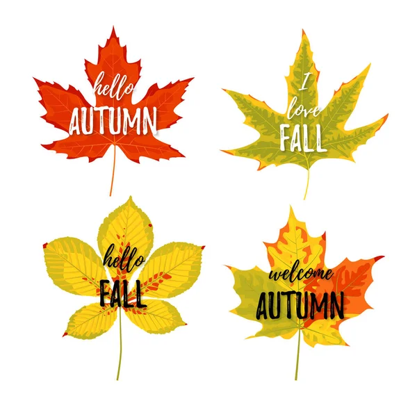 Autumn greeting cards set. Realistic autumn leaves with text on the white background. Vector illustration — Stock Vector