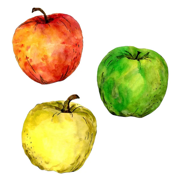 Акварельные яблоки Иллюстрация на белом фоне. Подходит для создания текстиля, дизайна и упаковки товаров. — стоковое фото
