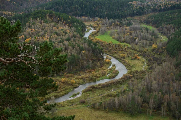 Paisaje natural del río con bosque. La foto. — Foto de Stock