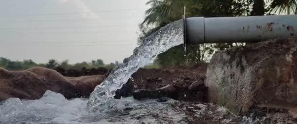 Voda Plastové Trubice Zemědělství Nebo Zemědělský Vodní Systém Indických Zemědělských — Stock video