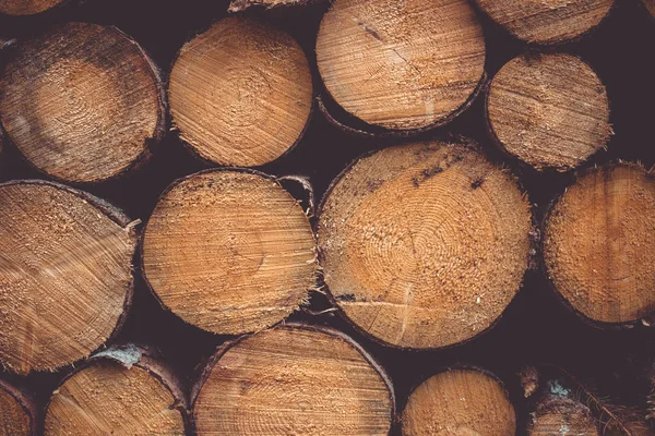 木の丸太の山 — ストック写真