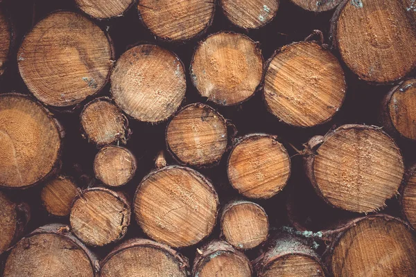 Pile Wood Logs — Stock Photo, Image