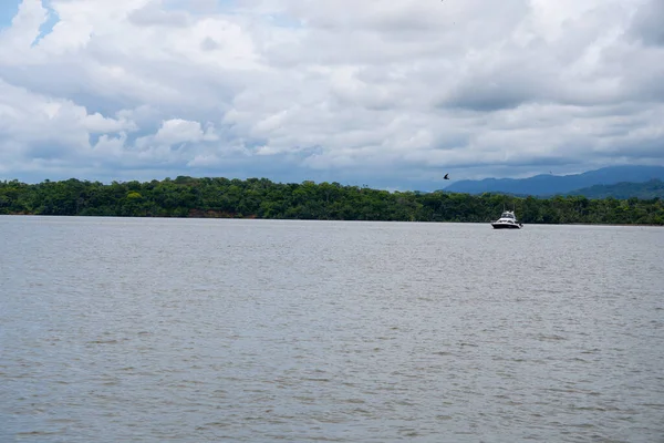 Bereketli yeşil orman arka planıyla sakin gölde seyreden manzara teknesi.