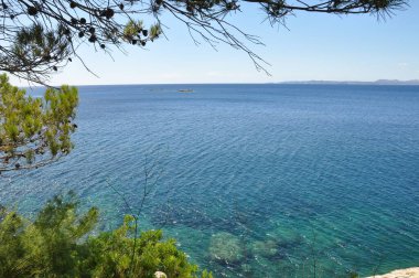 Güller Kosta Brava 'dan Görüntüler