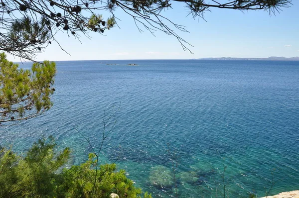 Güller Kosta Brava 'dan Görüntüler