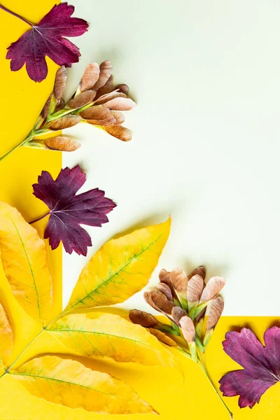 Φθινοπωρινά Φύλλα Κίτρινο Φόντο Φθινόπωρο Έννοια Θέση Για Κείμενο — Φωτογραφία Αρχείου