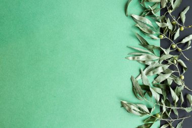 Pastel yeşil arka planda gri-yeşil tonlarda dallar. yer için metin