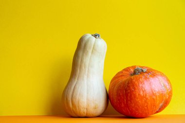 Sarı arkaplanda izole edilmiş iki balkabağı