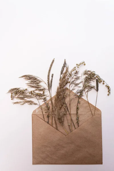 Getrocknete Blumen Trockenfeldstacheln Einem Kraftpapier Umschlag Auf Hellem Hintergrund Mit — Stockfoto