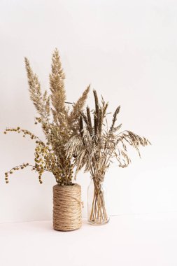 Kurumuş çiçekler. Açık pembe arka planda vazolarda kuru çiviler ve bitkiler. Sonbahar konsepti