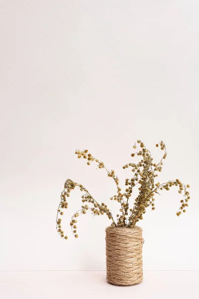 Dried Flowers Field Dry Spikelets Herbs Vases Light Pink Background — Stock Photo, Image