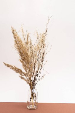 Kurumuş çiçekler. Açık pembe ve kahverengi arka planda vazolarda kuru çiviler ve otlar. Sonbahar konsepti