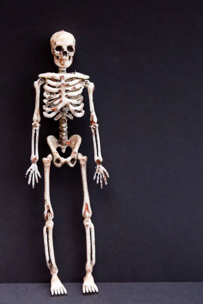 Skelette Auf Schwarzem Hintergrund Tag Des Todes Halloween Karte — Stockfoto