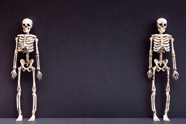Esqueletos Fundo Preto Dia Conceito Morte Cartão Halloween — Fotografia de Stock