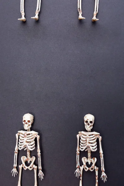 Skelette Auf Schwarzem Hintergrund Tag Des Todes Halloween Karte — Stockfoto