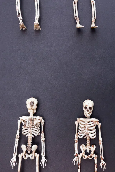 Esqueletos Fundo Preto Dia Conceito Morte Cartão Halloween — Fotografia de Stock