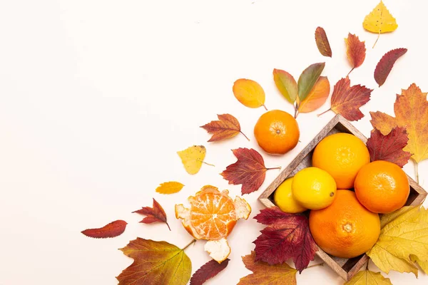 Composizione Foglie Colorate Autunnali Agrumi Limoni Mandarini Pompelmi Piatto Legno — Foto Stock