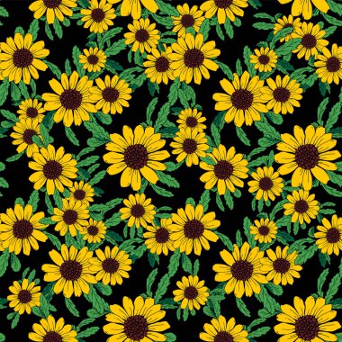 Kusursuz çiçek deseni. Sarı papatya çayı, siyah arka planda yeşil yapraklı kır çiçekleri. Çizgi film tarzında vektör el çizimi.