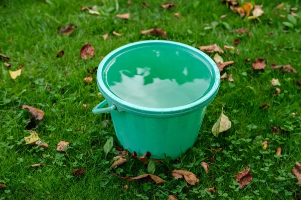 A small green bucket of water stands on a lawn with green grass, and dry fallen leaves are scattered around.