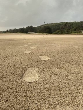 Muson mevsiminde Mandrem sahilinde, Goa 'da, Hindistan' da ayak izleri. Kumsalda bulutlu gün ayak izleri