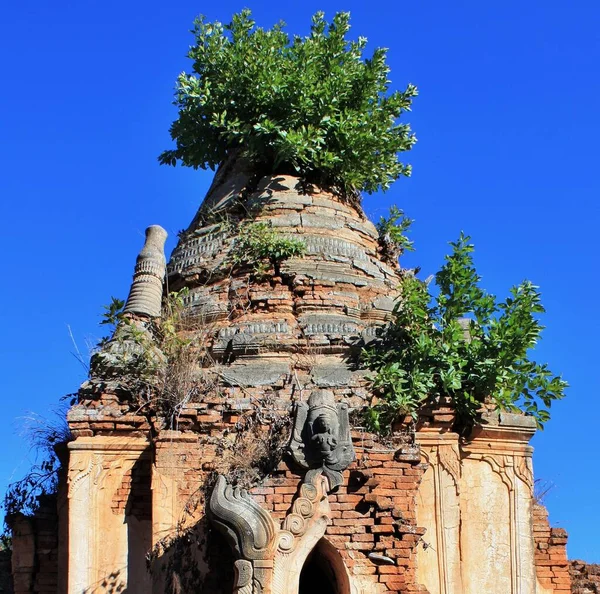 ミャンマー インレー湖の南西側に位置するデンで緑の植物が成長している古い石塔の遺跡 — ストック写真