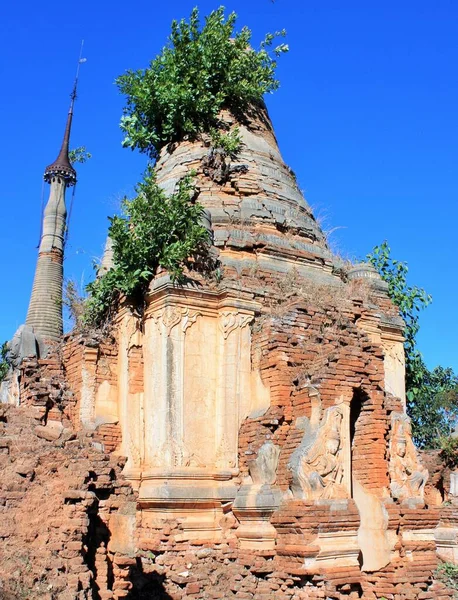 Rovine Una Vecchia Pagoda Pietra Fatta Mattoni Con Piante Verdi — Foto Stock