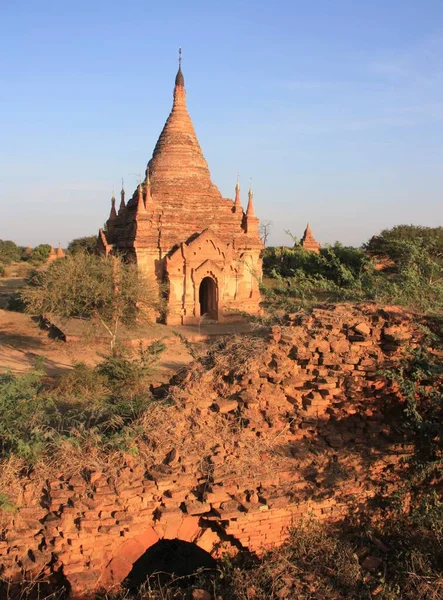 Bagan, Myanmar 'da günbatımında yeşil bitkilerle çevrili bir Pagoda harabeleri