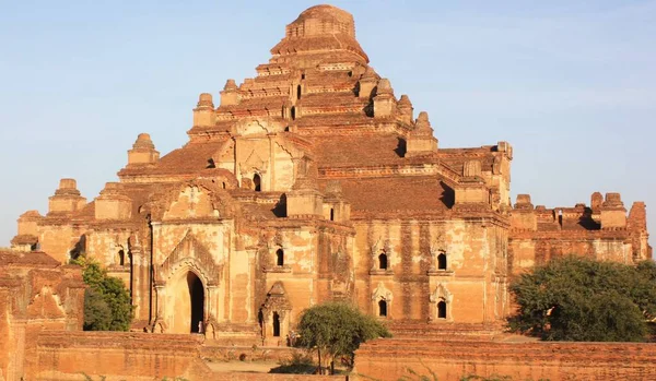 Dhammayangyi Tapınağı, Bagan arkeolojik bölgesindeki en büyük tapınak, Myanmar. Büyük, iyi korunmuş antik piramit şekilli tapınak kalıntıları