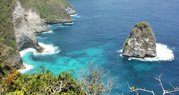 Nusa Penida Adası, Bali, Endonezya 'da açık turkuaz mavi deniz ve yeşil yapraklı kayalık kıyı manzarası