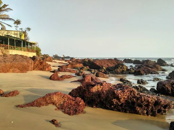 Arambol, Goa ve Hindistan 'da Tatlı Su Gölü yakınlarındaki plajda Kızıl Volkanik Kayalar