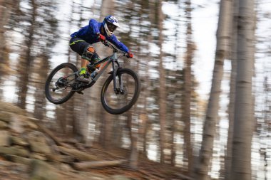 Sonbahar orman Mountainbiker rides