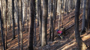 Sonbahar orman Mountainbiker rides