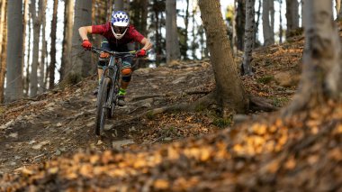 Sonbahar orman Mountainbiker rides