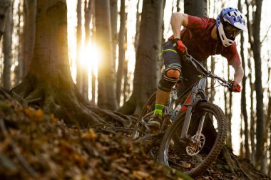 Sonbahar orman Mountainbiker rides