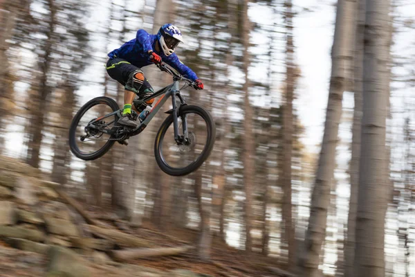 Mountainbiker Rides Autumn Forest — Stock Photo, Image