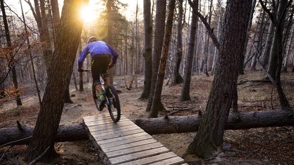 Mountainbiker Rides Autumn Forest — Stock Photo, Image