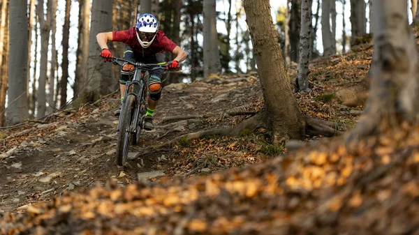 Mountainbiker Rides Autumn Forest — Stock Photo, Image