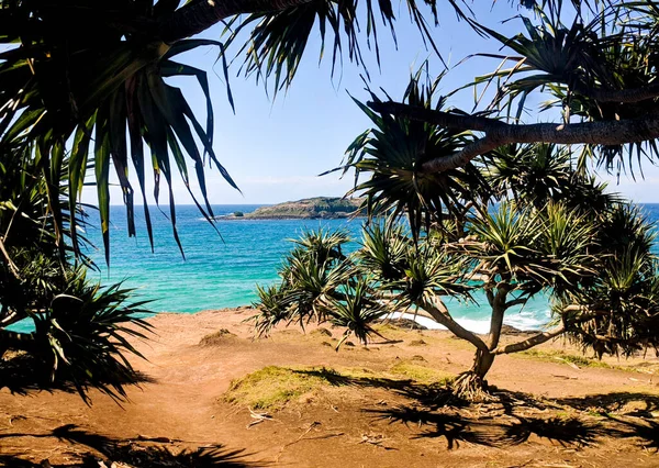 Uitkijkend Door Pandanusbomen Naar Cook Island — Stockfoto