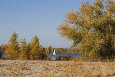 Kümes hayvanları. Kollarında tavuk var..