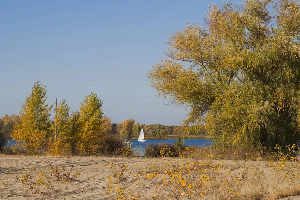 Kümes hayvanları. Kollarında tavuk var..