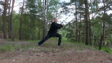 Adam sabah Qigong ve Tai Chi 'de, parkta nişanlanmış..