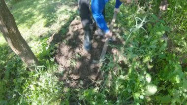 Adam sebze bahçesi kazıyor, elma ağacını çapalıyor. Kamera yakından çekiliyor. Lastik çizmeli adamlar.