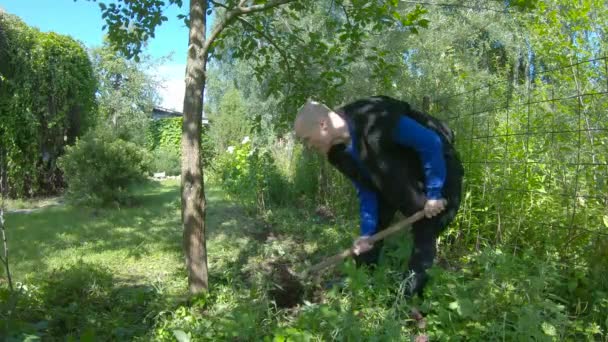 Man Med Spade Håller Att Krossa Ett Äppelträd Det Klar — Stockvideo