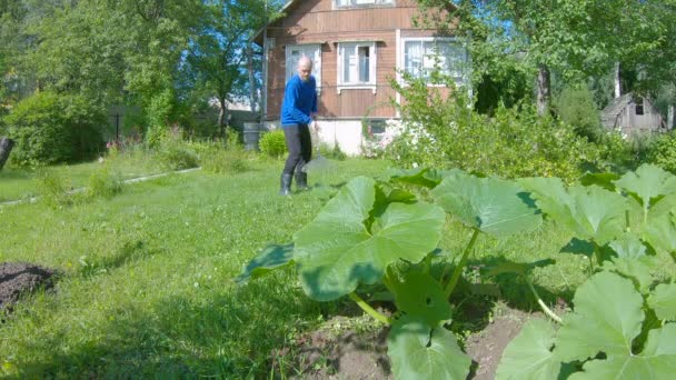 Muž Své Farmě Odstraňuje Listí Trávu Dobrý Den Dobré Počasí — Stock video