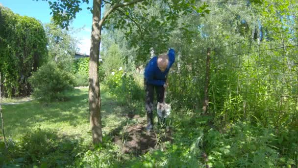 Jobb Gården Mann Med Spade Jobber Hagen Gjødsler Epletre – stockvideo