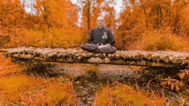 时间流逝的冥想 一个年轻人正在明亮的红叶周围的一座木桥上沉思着 — 图库视频影像