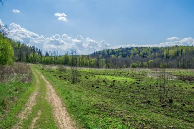 Yol ormana gidiyor, mavi gökyüzünde beyaz bulutlar.